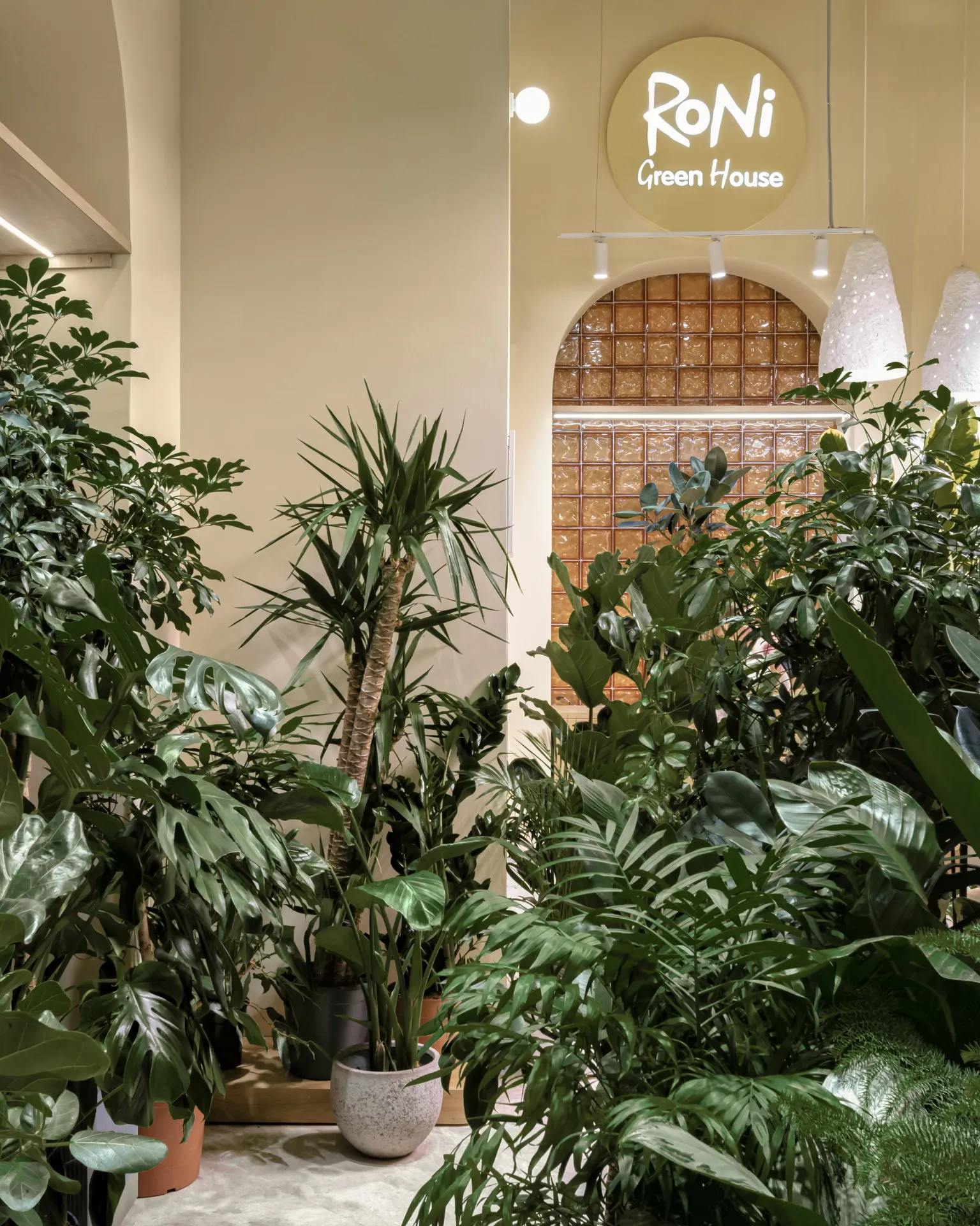 RONI Green House — image 3 of 9