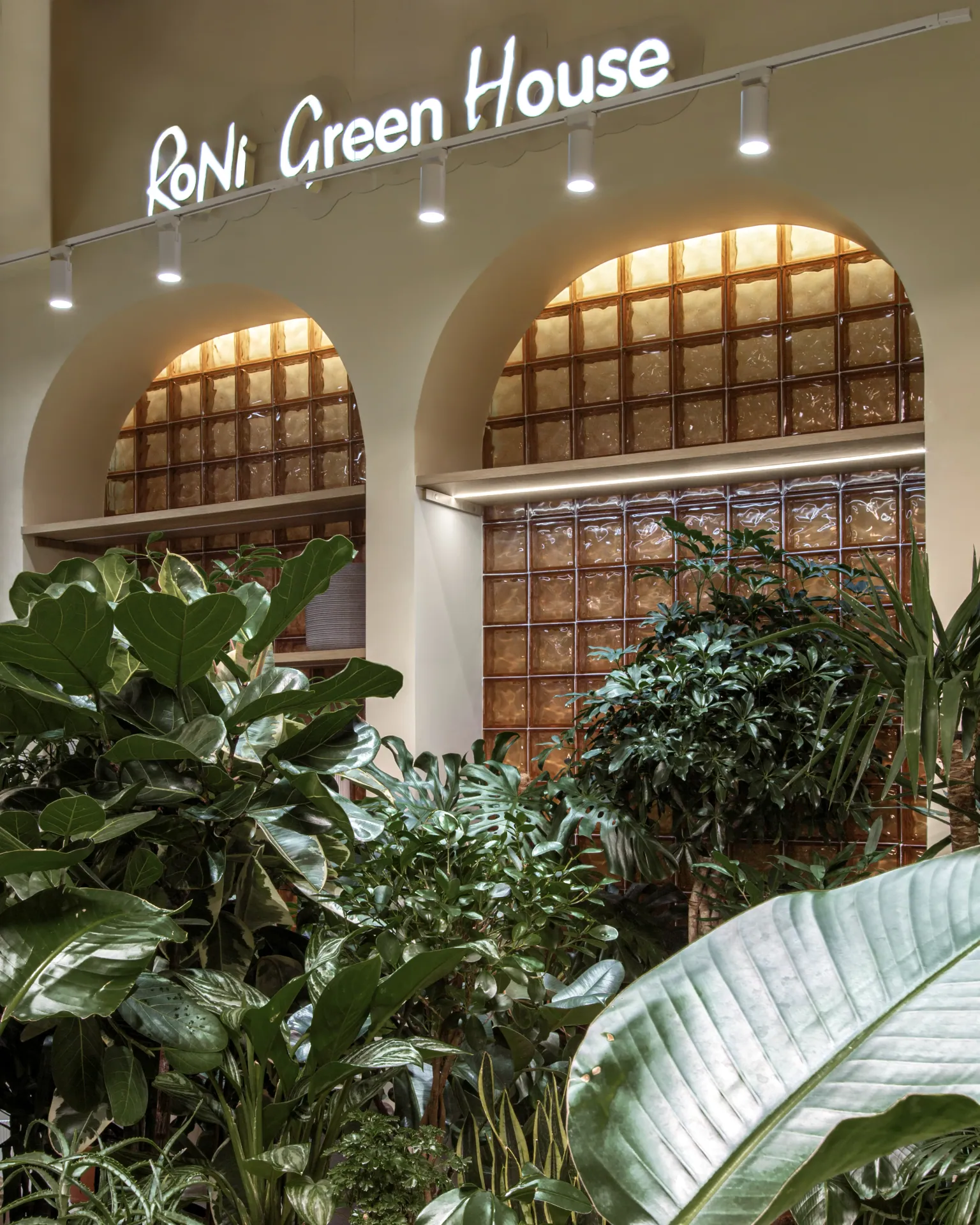 RONI Green House — image 4 of 9