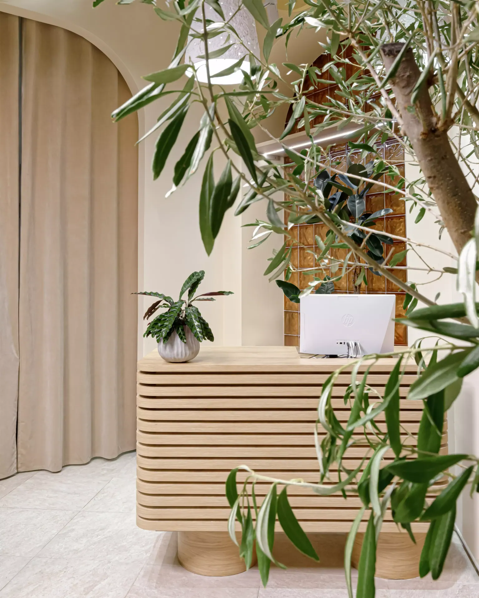RONI Green House — image 5 of 9