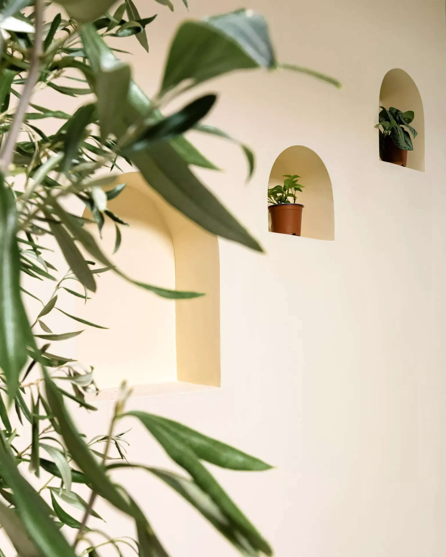 RONI Green House — image 8 of 9