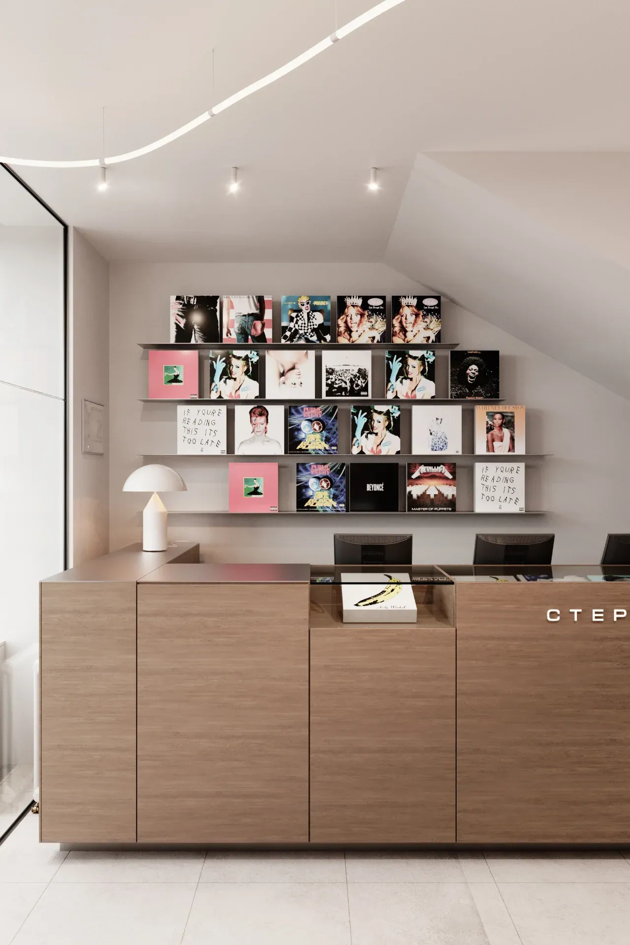 STEREOZONA Vinyl Store — image 2 of 9
